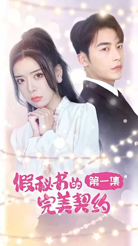 假秘书的完美契约封面图