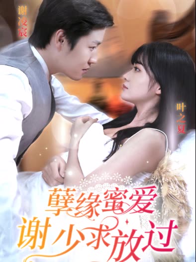 孽缘蜜爱谢少求放过封面图