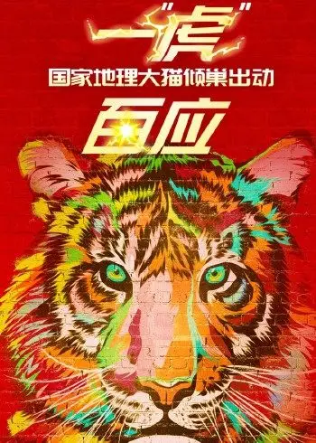 一“虎”百应封面图