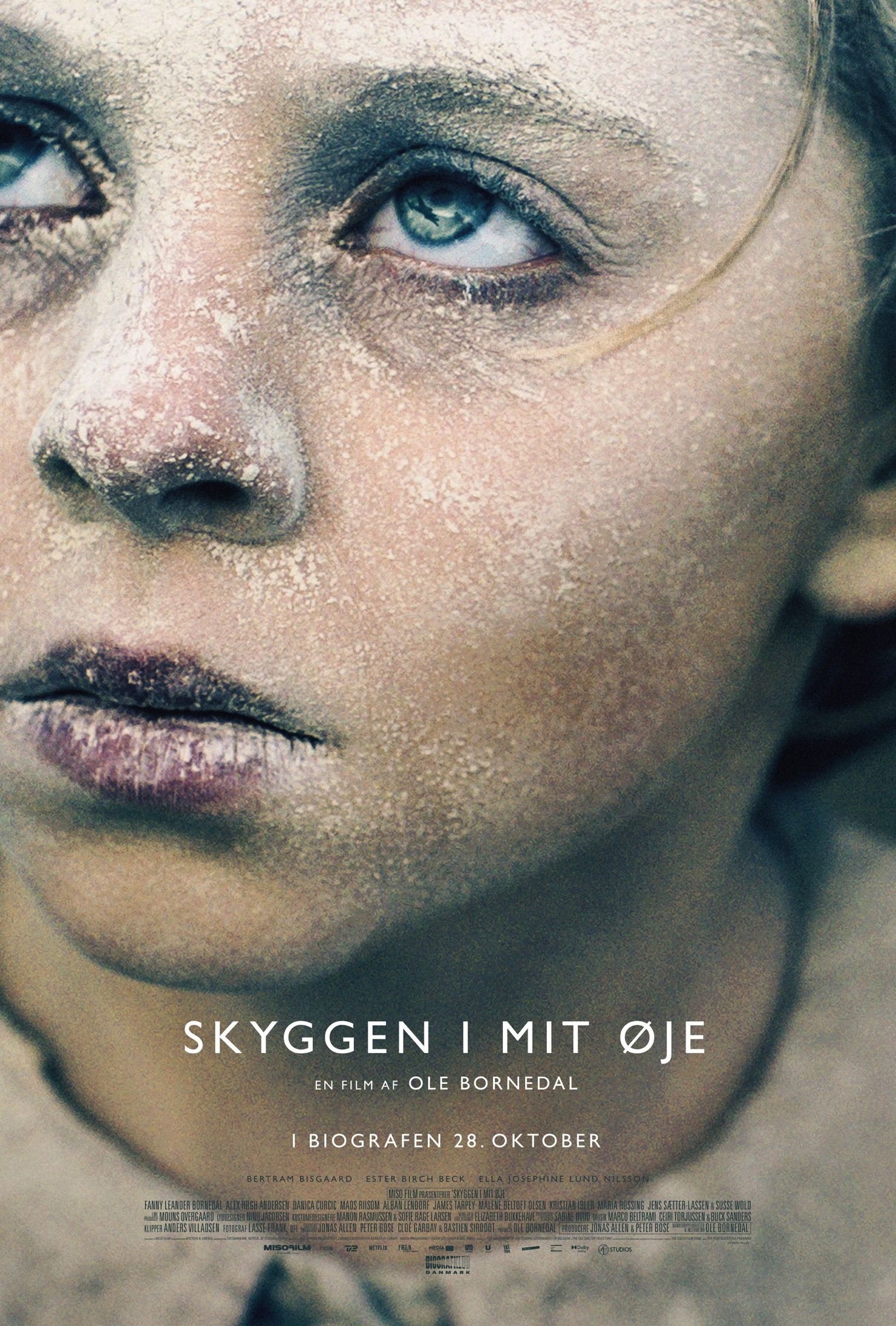 眼帘下的战影封面图