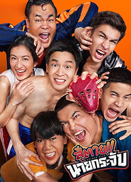 神奇的护裆封面图