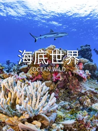 海底世界封面图