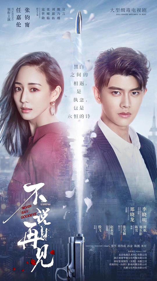 不说再见封面图