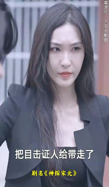 神探宋元封面图