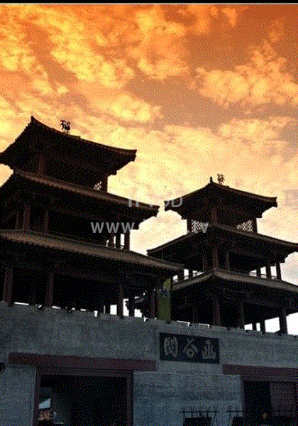 我们生长的地方封面图