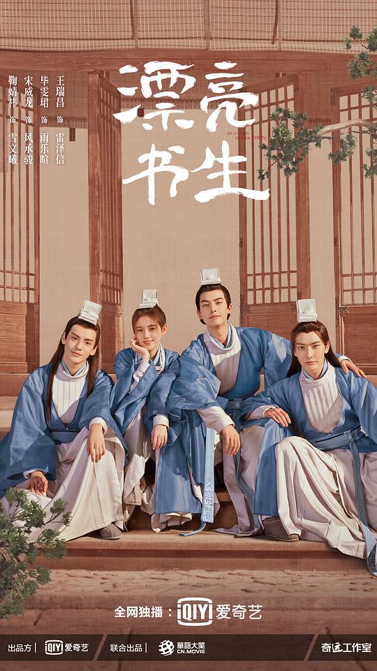 漂亮书生封面图