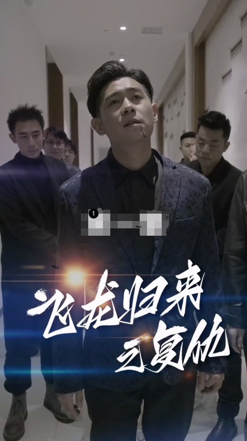 飞龙归来封面图