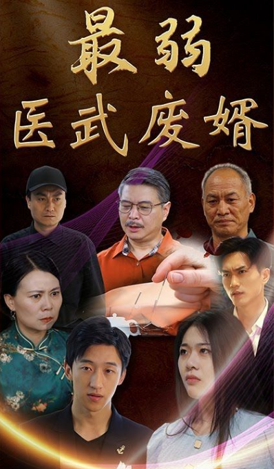 最弱医武废婿封面图