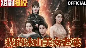 我的冰山美女老婆封面图