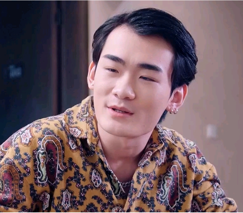 上门傻婿封面图