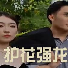 护花强龙封面图