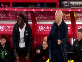 英超联赛 莱斯特城VS富勒姆 20250118封面图