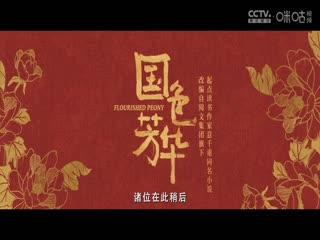 英超联赛 布伦特福德VS利物浦 20250118封面图