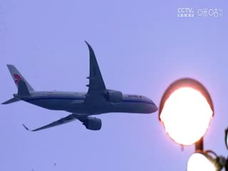 WCBA常规赛A组 石家庄英励VS江苏南钢 20241229封面图