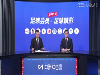 亚冠精英联赛阶段 山东泰山VS柔佛新山 20241126封面图