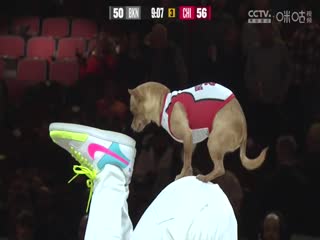 NBA常规赛 篮网VS公牛 20241203封面图