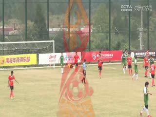 中国传承足球明星联赛 山东传承足球明星队VS陕西佳鑫伟业足球队 20241110封面图