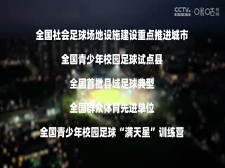 中国传承足球明星联赛 陕西佳鑫伟业足球队VS深圳传承明星足球队 20241108封面图