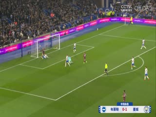 英超联赛 布莱顿VS曼城 20241110封面图