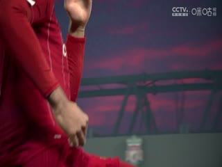 英超联赛 纽卡斯尔联VS布莱顿 20241019封面图