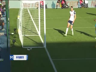 英超联赛 水晶宫VS托特纳姆热刺 20241027封面图