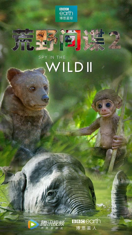 荒野间谍 第二季封面图