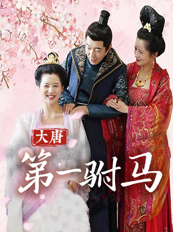 大唐第一驸马封面图