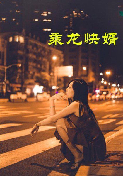 乘龙快婿封面图