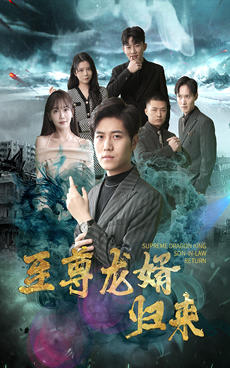 至尊龙婿归来封面图