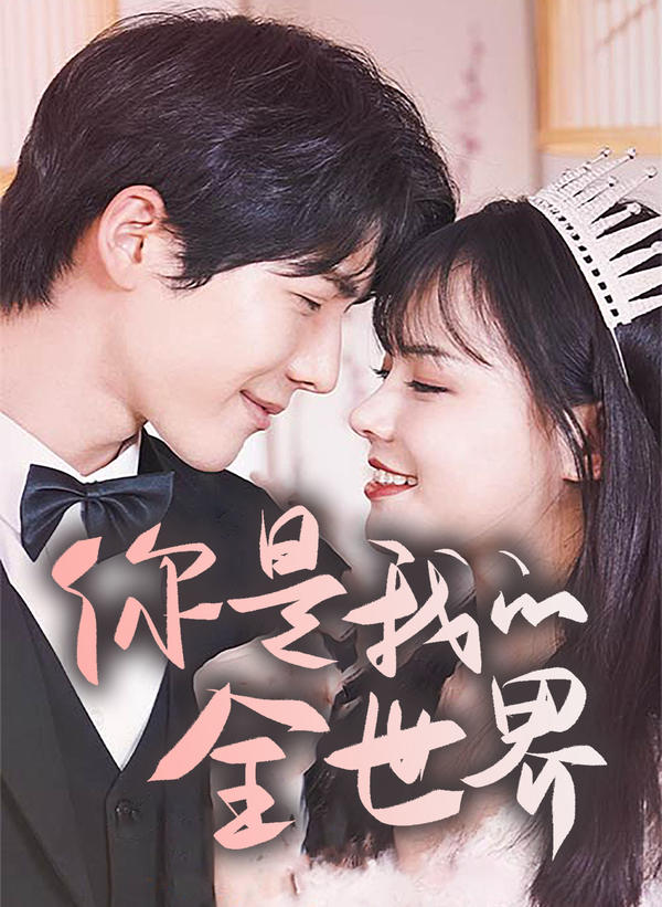 你是我的全世界封面图