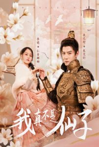 我真不是仙子封面图