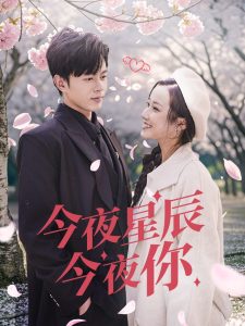 今夜星辰今夜你封面图