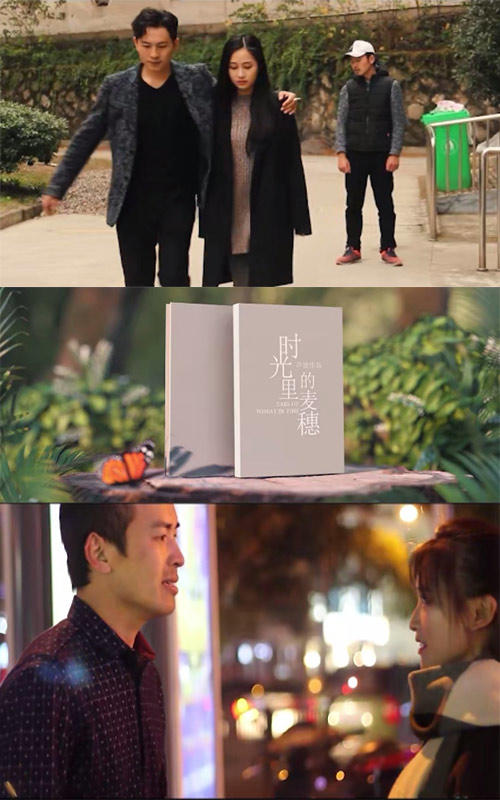 时光里的麦穗封面图