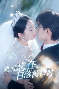 把爱忘在日落黄昏时封面图