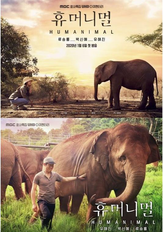 人类-动物封面图