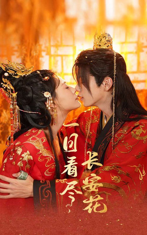 一日看尽长安花封面图