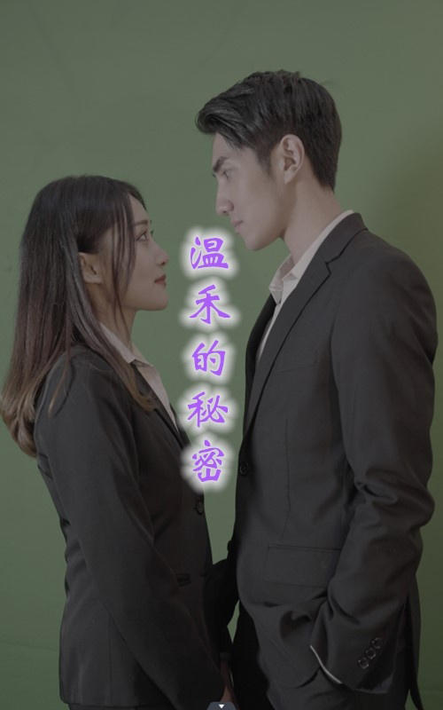 温禾的秘密封面图