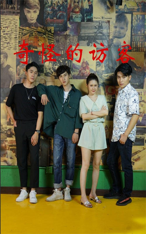 奇怪的访客封面图