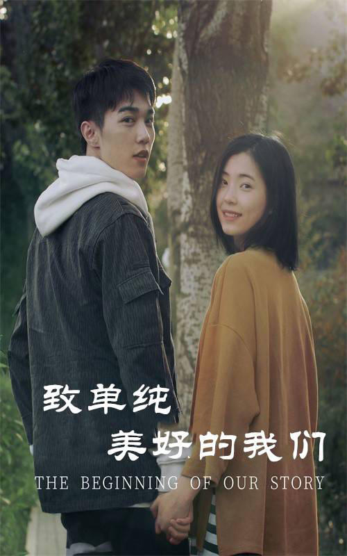 致单纯美好的我们封面图
