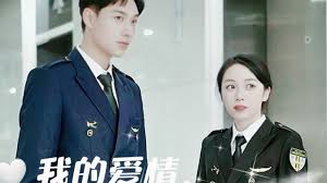 我的爱情，从不返航封面图