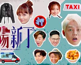 夕阳新丁封面图