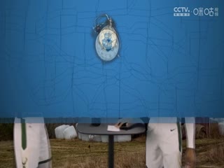 NBA常规赛 步行者VS雄鹿 20250316封面图