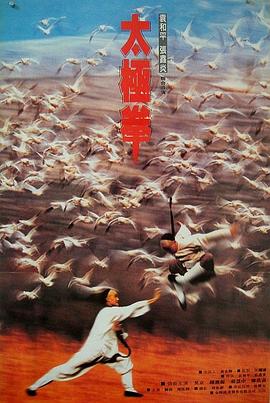 功夫小子闯情关[电影解说]封面图