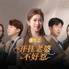 重生之开挂老婆不好惹封面图