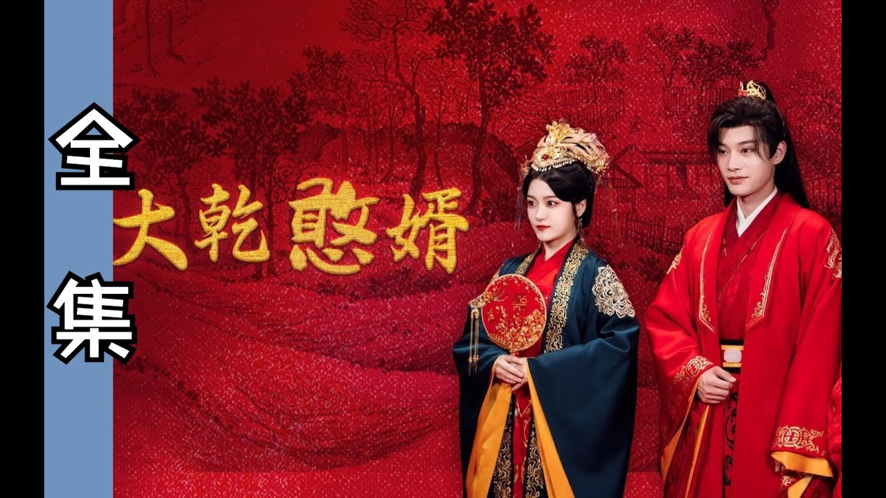 大乾憨婿封面图