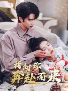 我向你奔赴而来封面图