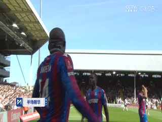 足总杯四分之一决赛 富勒姆VS水晶宫 20250329封面图