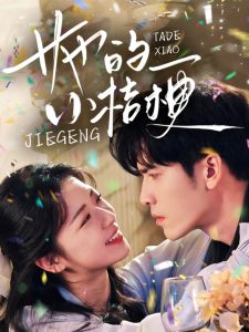 她的小桔梗封面图