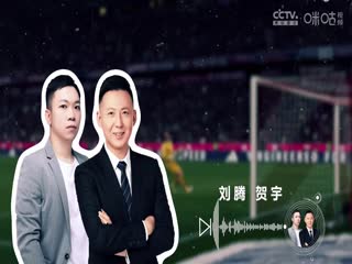 意甲联赛 帕尔马VS国际米兰 20250406封面图