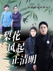 梨花风起正清封面图